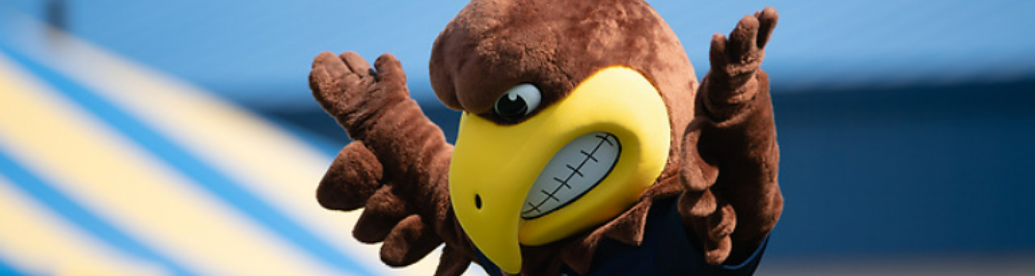 Flash, a golden eagle, the mascot