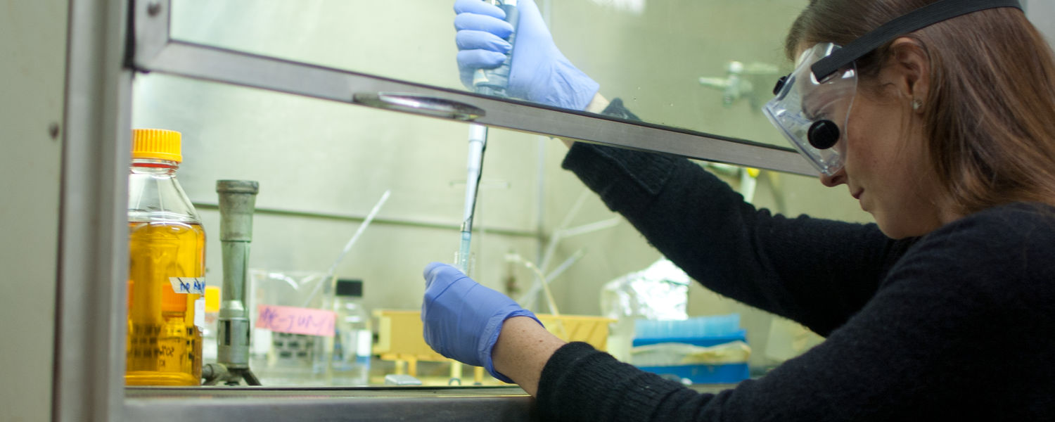 An undergraduate student performs research in a biochemistry laboratory.