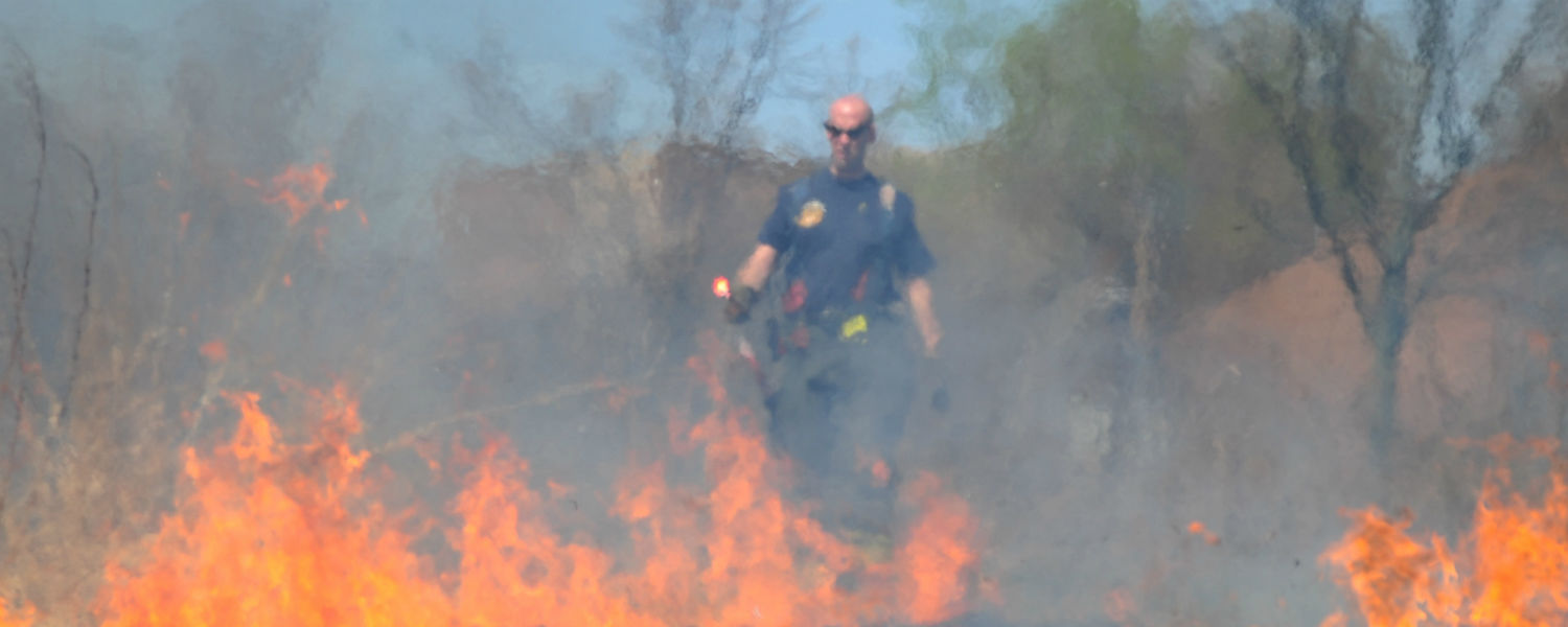 A City of Kent firefighter lights a blaze in the prairie grass that grows behind the Student Recreation and Wellness center on the campus of Kent State University. The prairie grass is burned once a year to coordinate with the natural cycle of the grass.