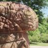 Through an email-based service launched by University Communications and Marketing, students can ask The Brain, the sculpture located near Merrill Hall on the Kent Campus.