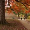 fall scene on campus with students walking on a sidewalk